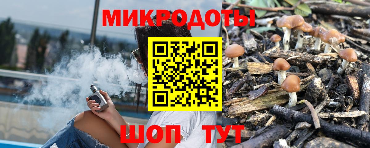 Псилоцибиновые грибы Psilocybe Москва